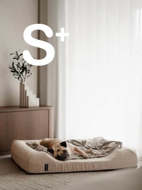 Low Entrance Bed S+