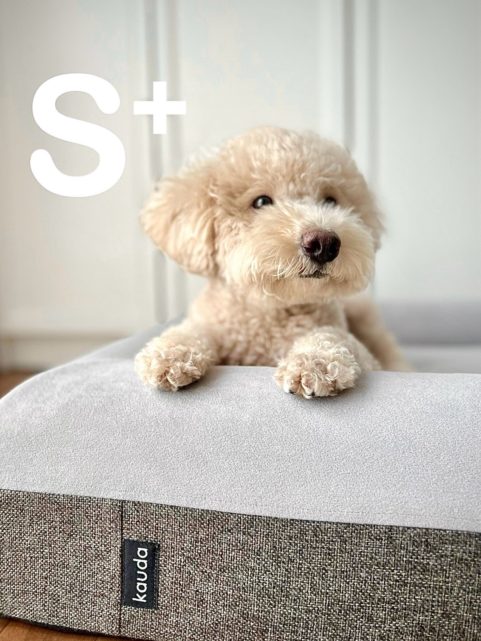 The Betty Bed S+