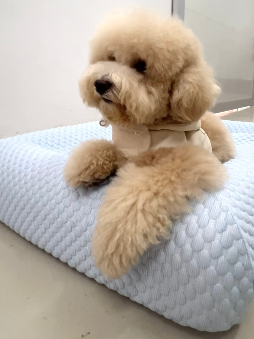 Orthopedic Cooling Bed (Low Entry)