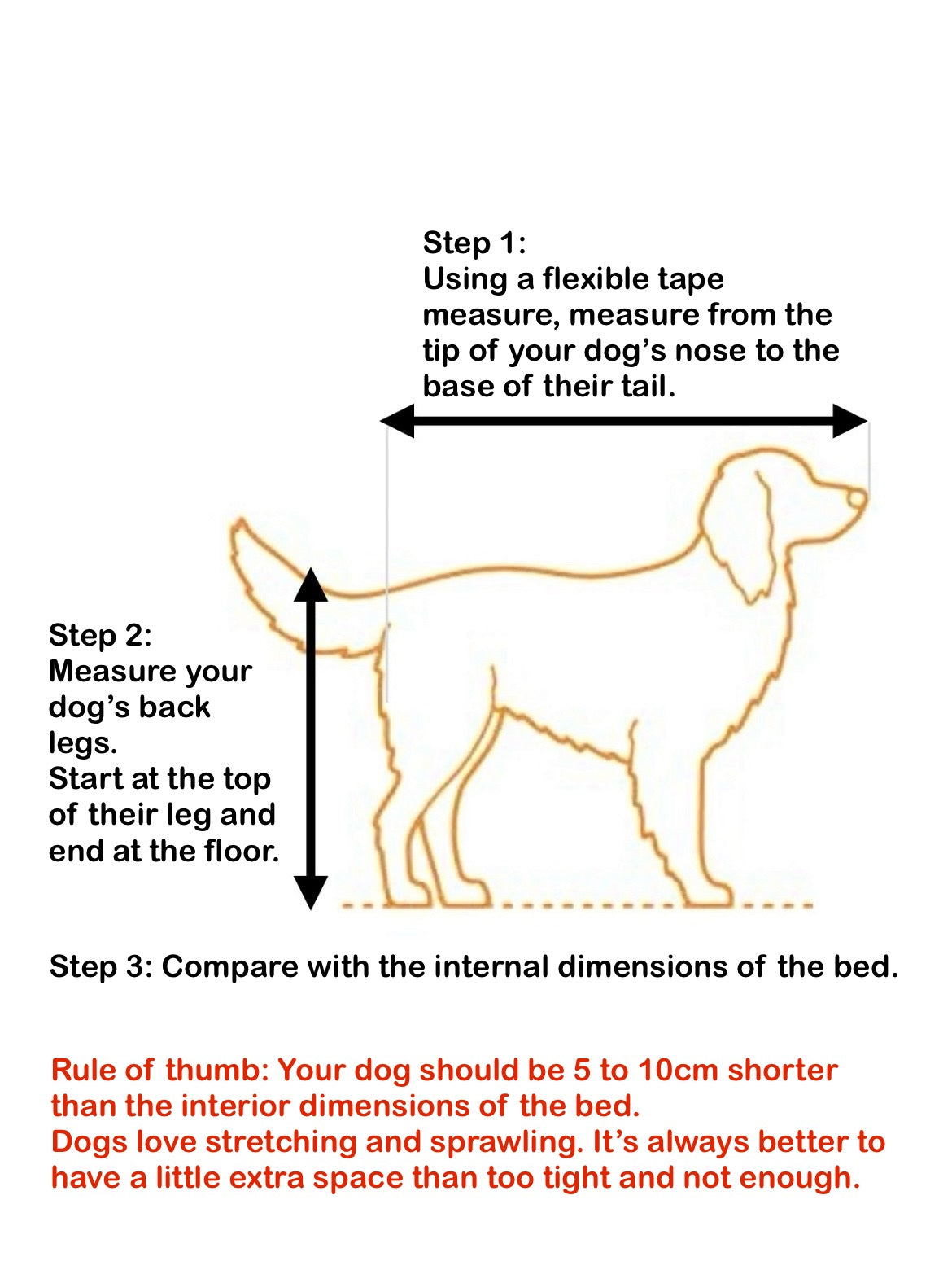 The Betty Bed S+ (Delivery by 31 May)