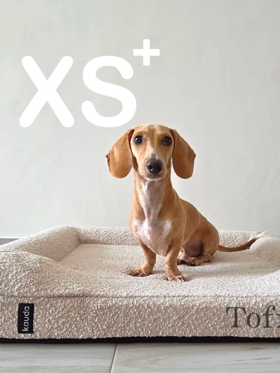 Low Entrance Bed XS+ (Delivery by 31 Dec)