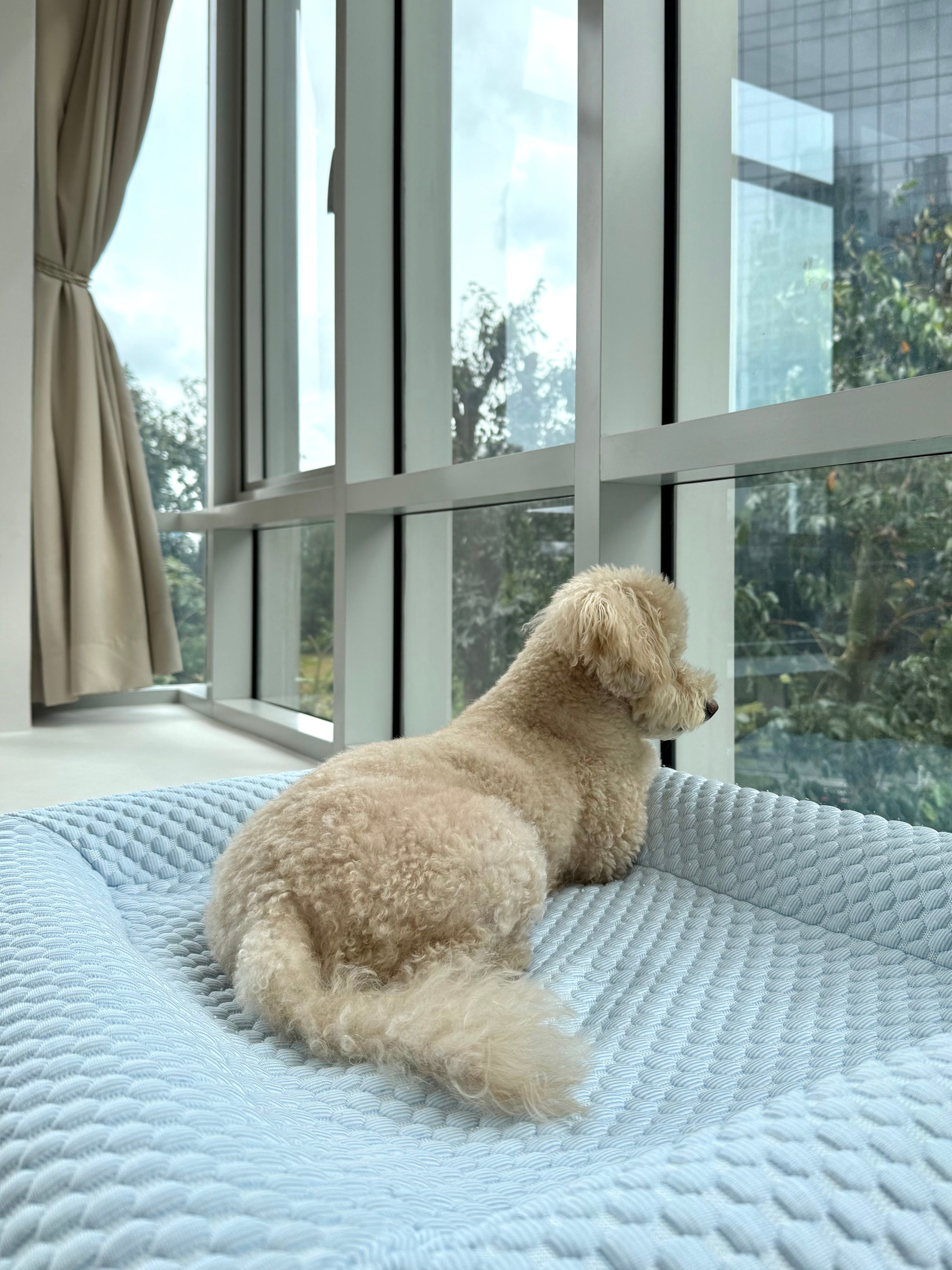Cooling Breeze - Cover