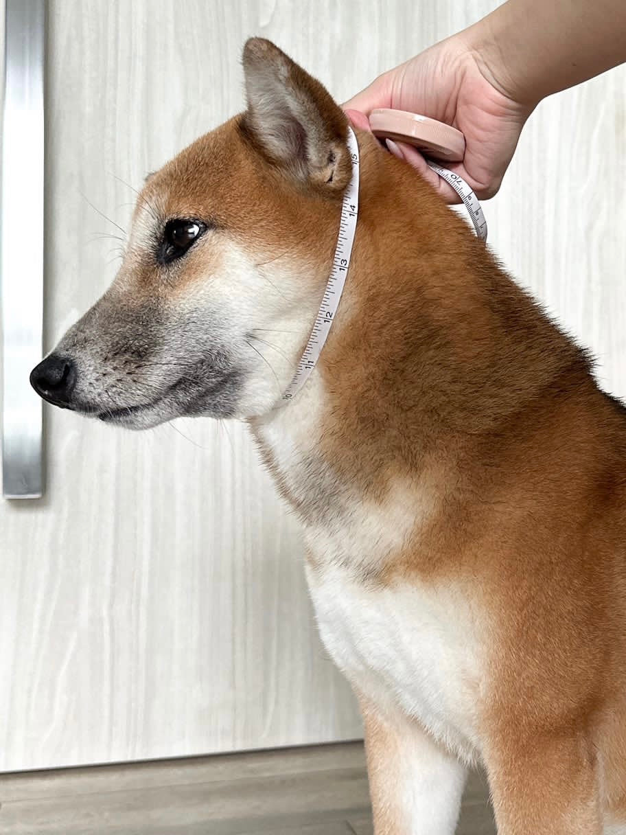 Double Rope Slip Collar