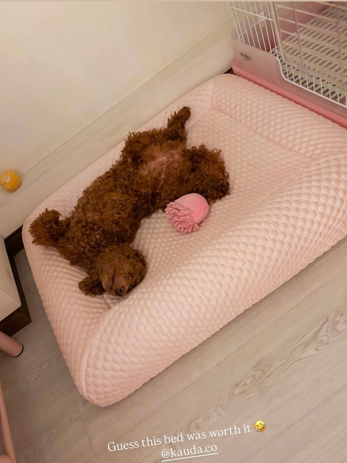 Orthopedic Cooling Bed (Low Entry)