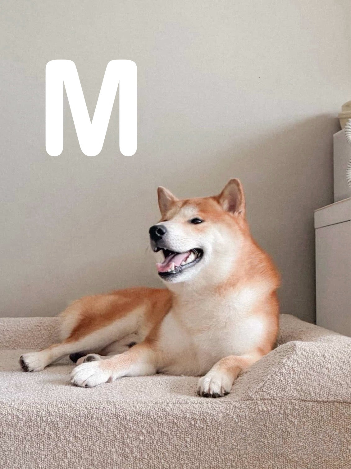 Low Entrance Bed M