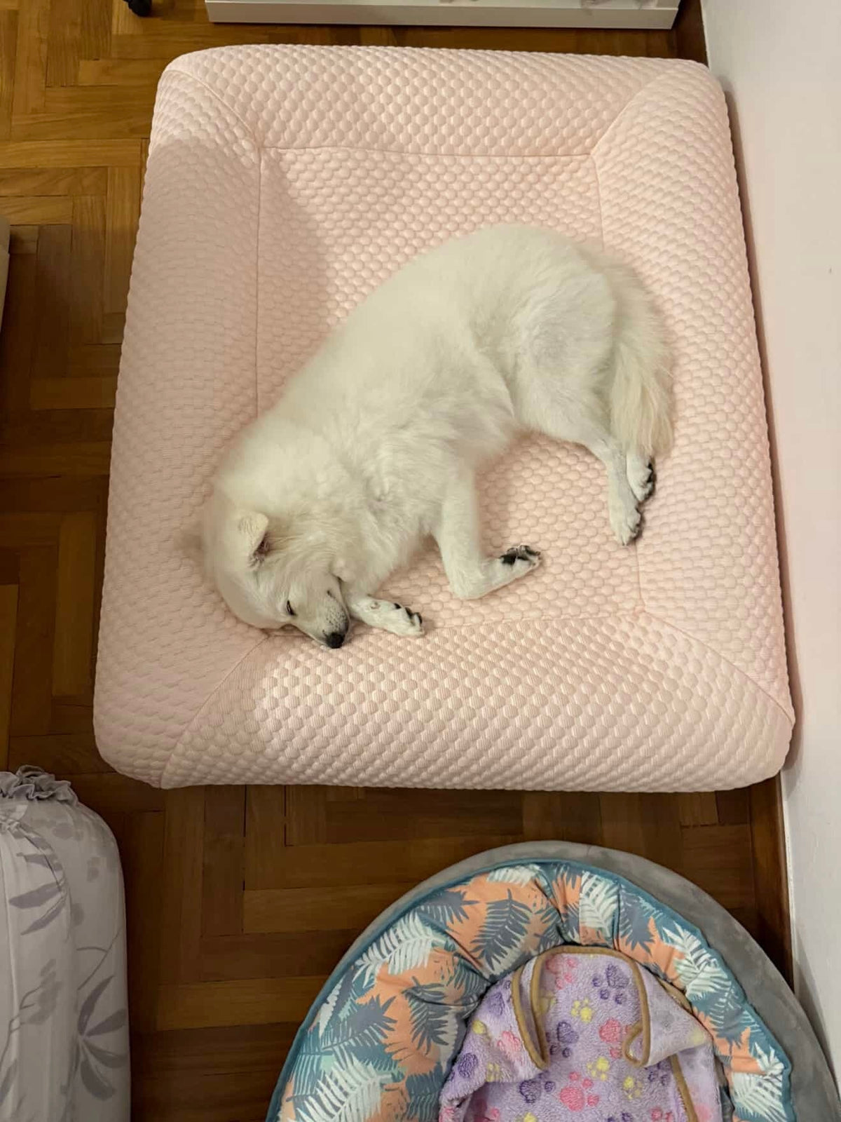 Orthopedic Cooling Bed (Low Entry)