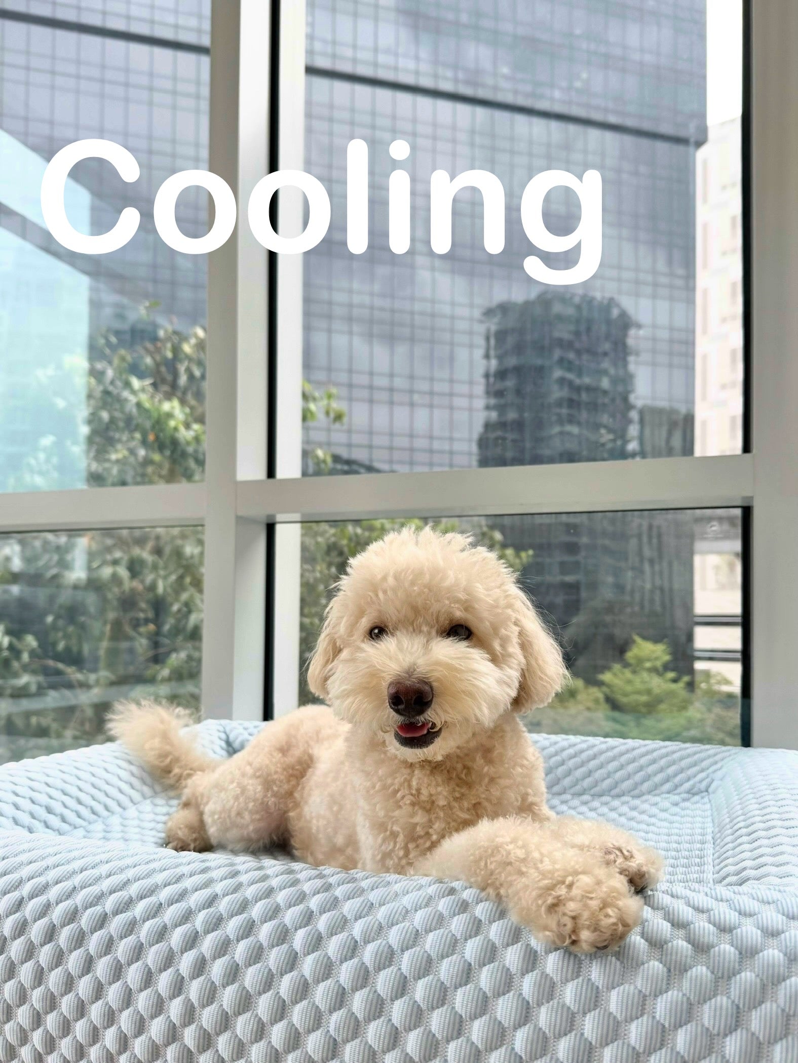 Cooling Cover