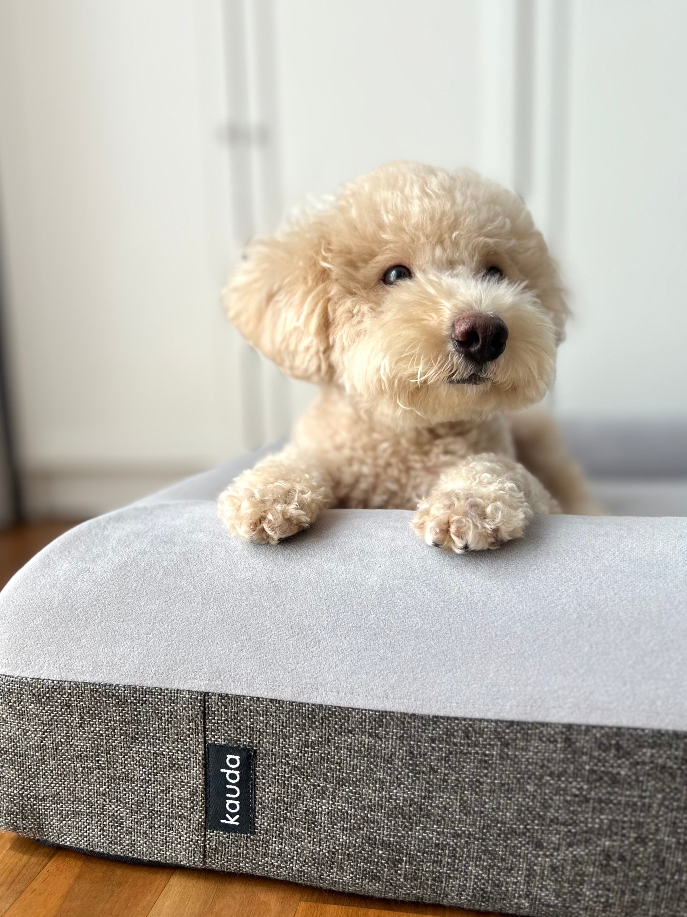 Bundle: The Betty Bed + Cooling Cover