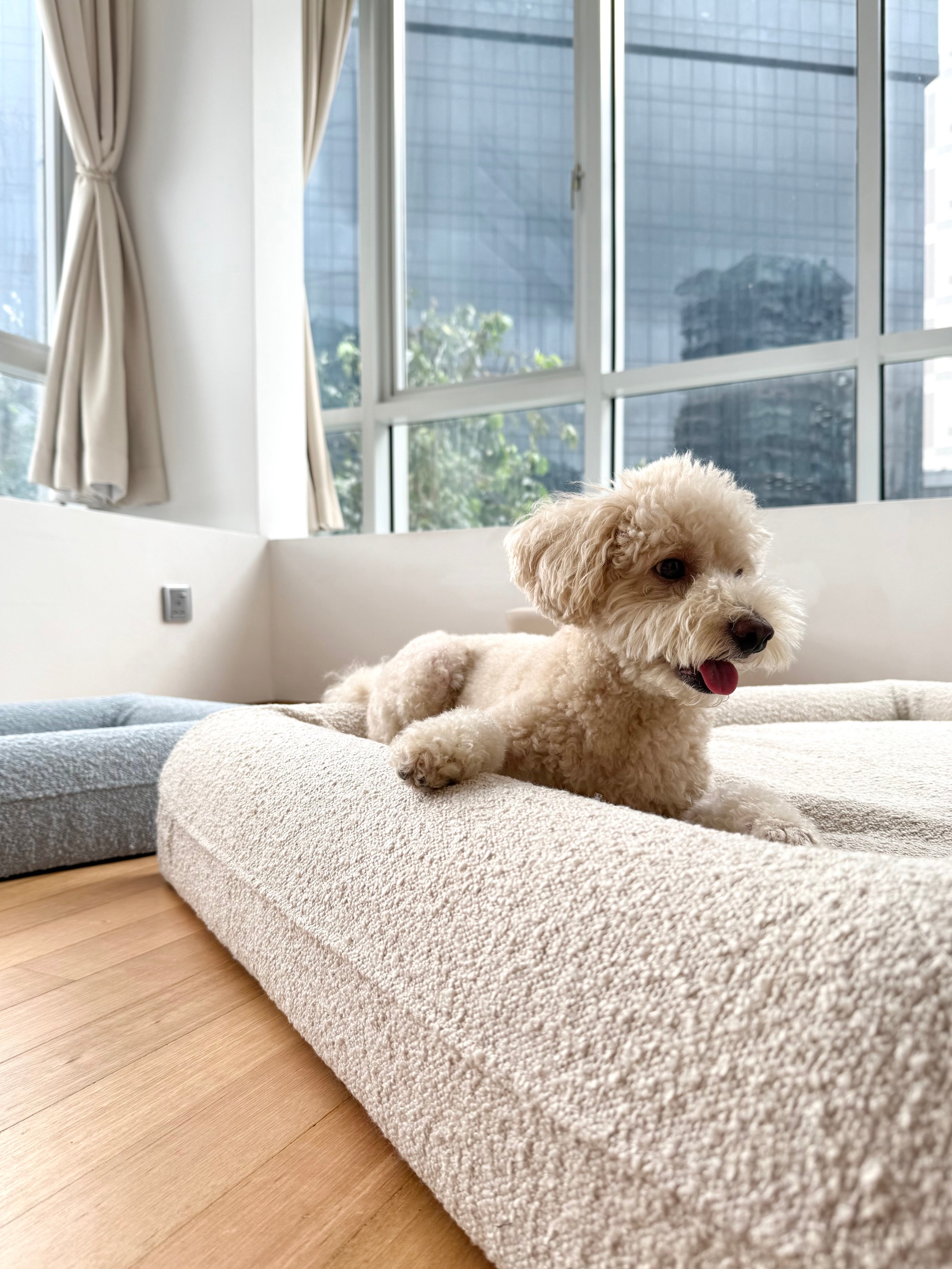 The Betty Bed M (Delivery by 31 May)