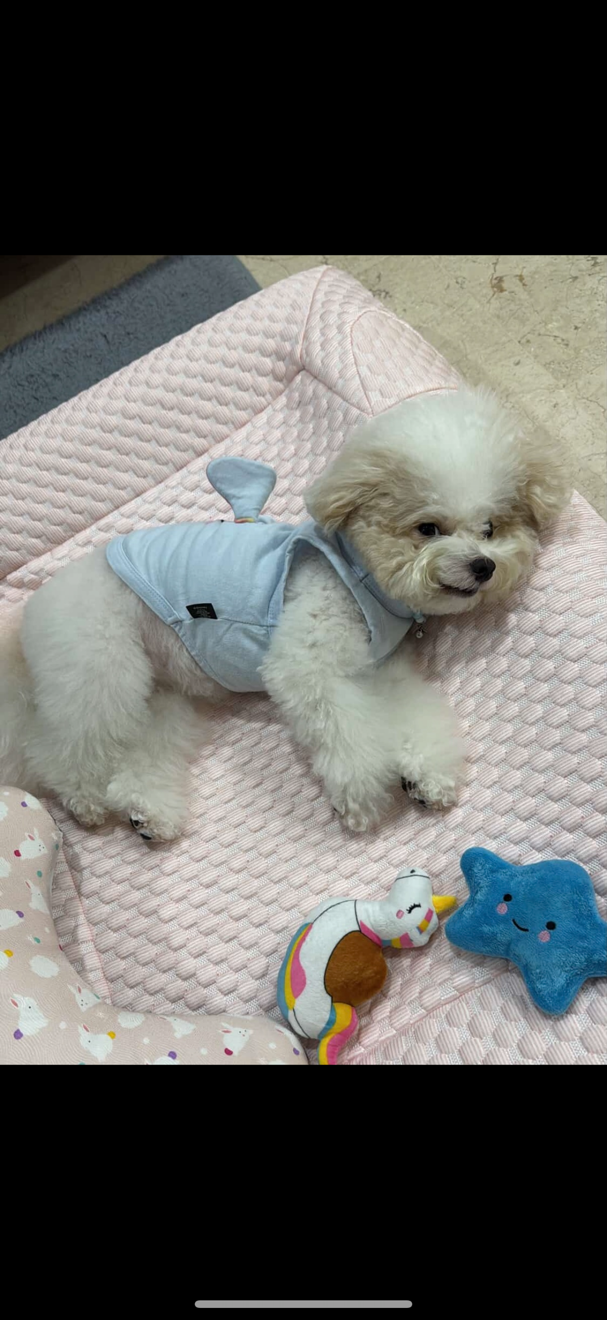 Orthopedic Cooling Bed (Low Entry)