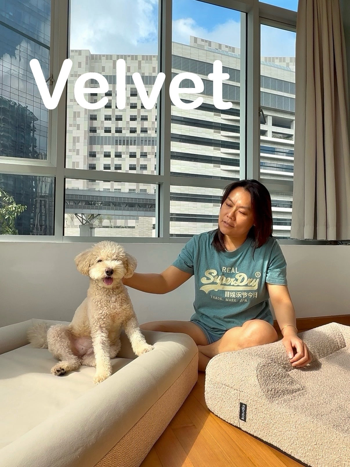 Velvet Cover