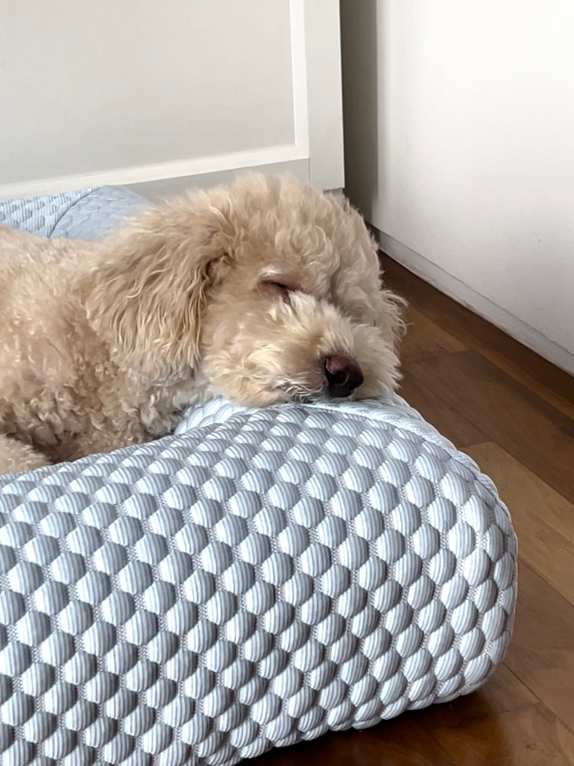 Bundle: The Betty Bed + Cooling Cover