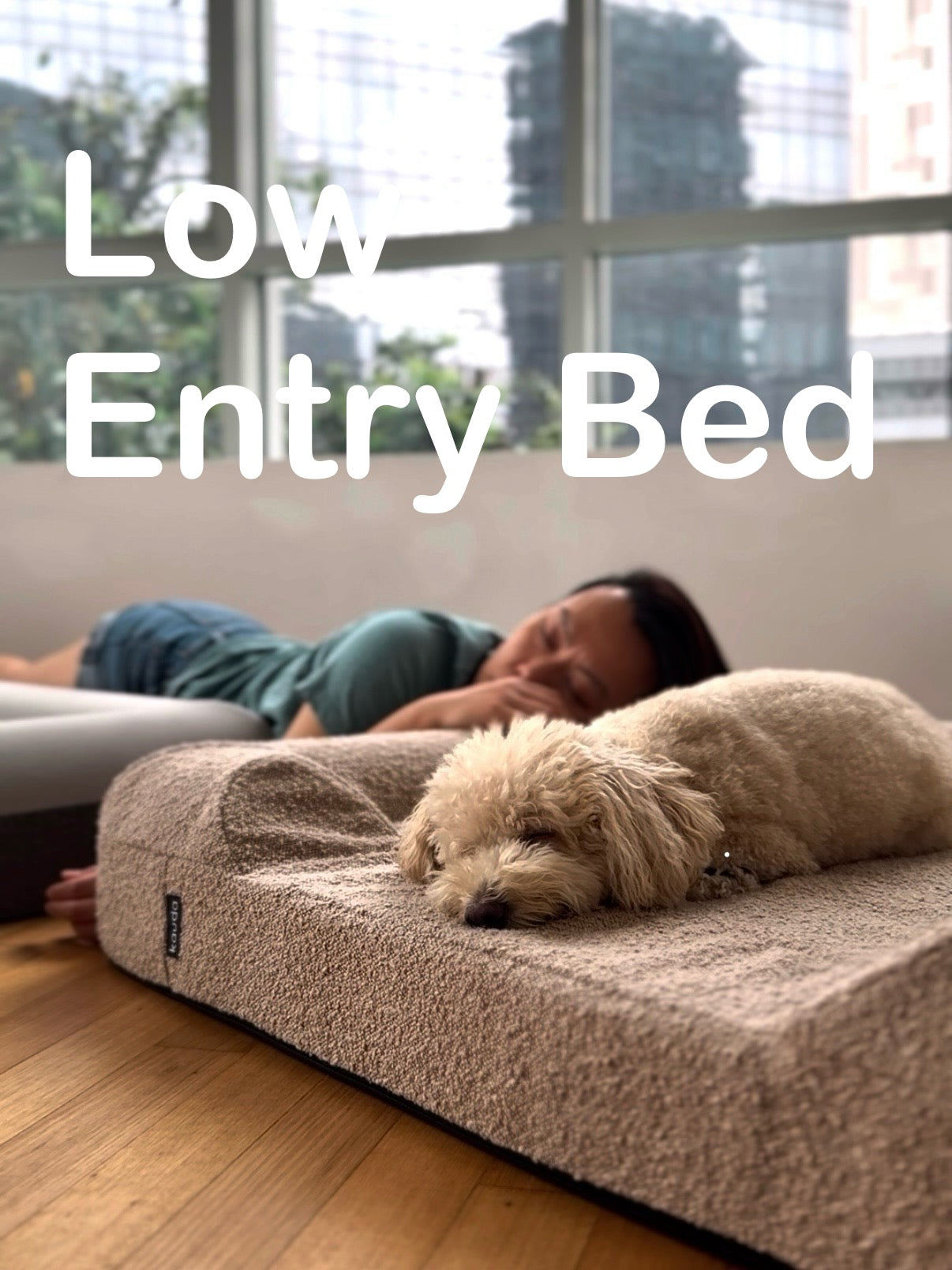 Low Entry Bed