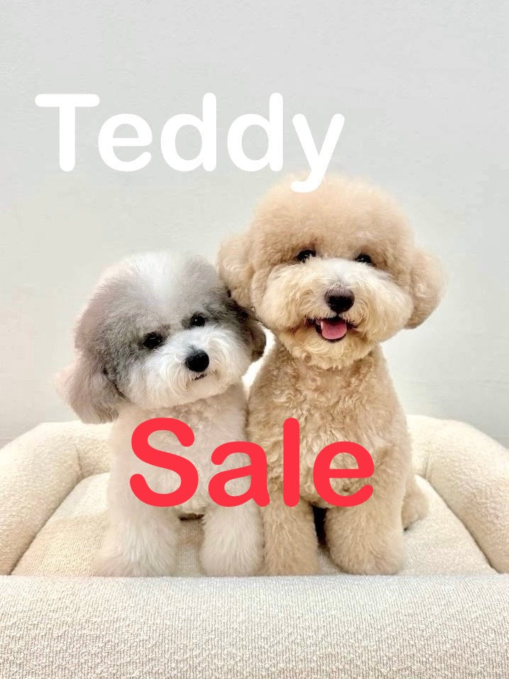 Teddy Cover