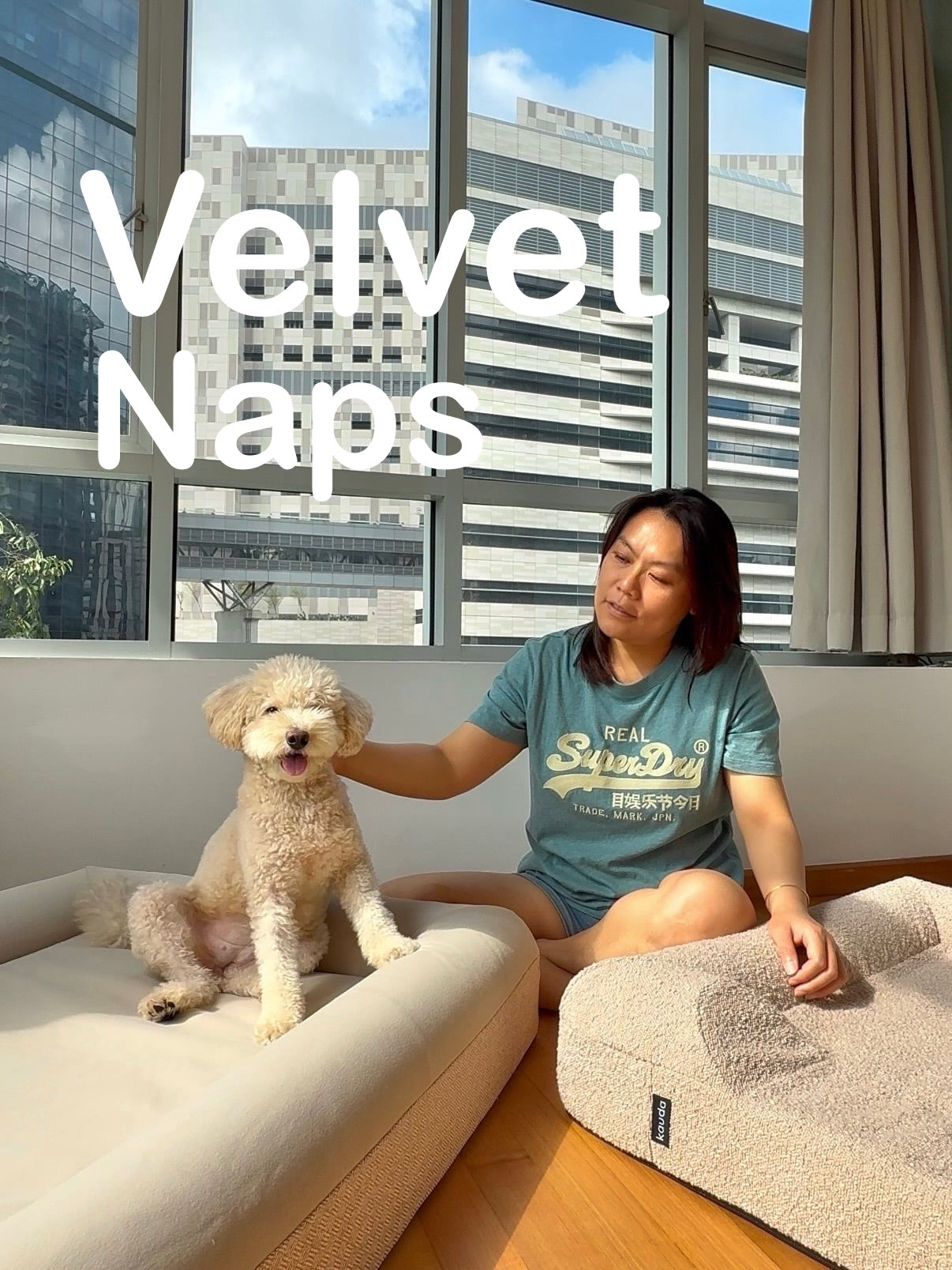 Singapore #1 Cooling Dog Bed