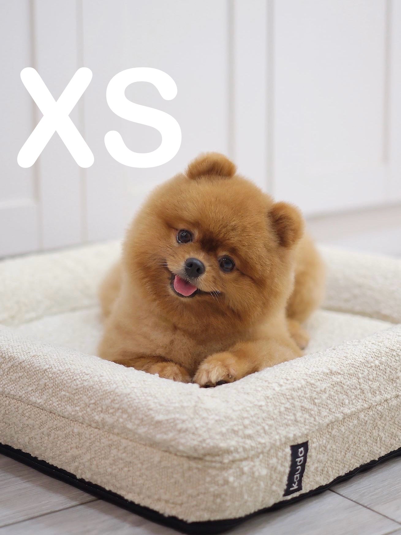 Mini Betty Bed - #1 Orthopedic Dog Bed for Small Dogs