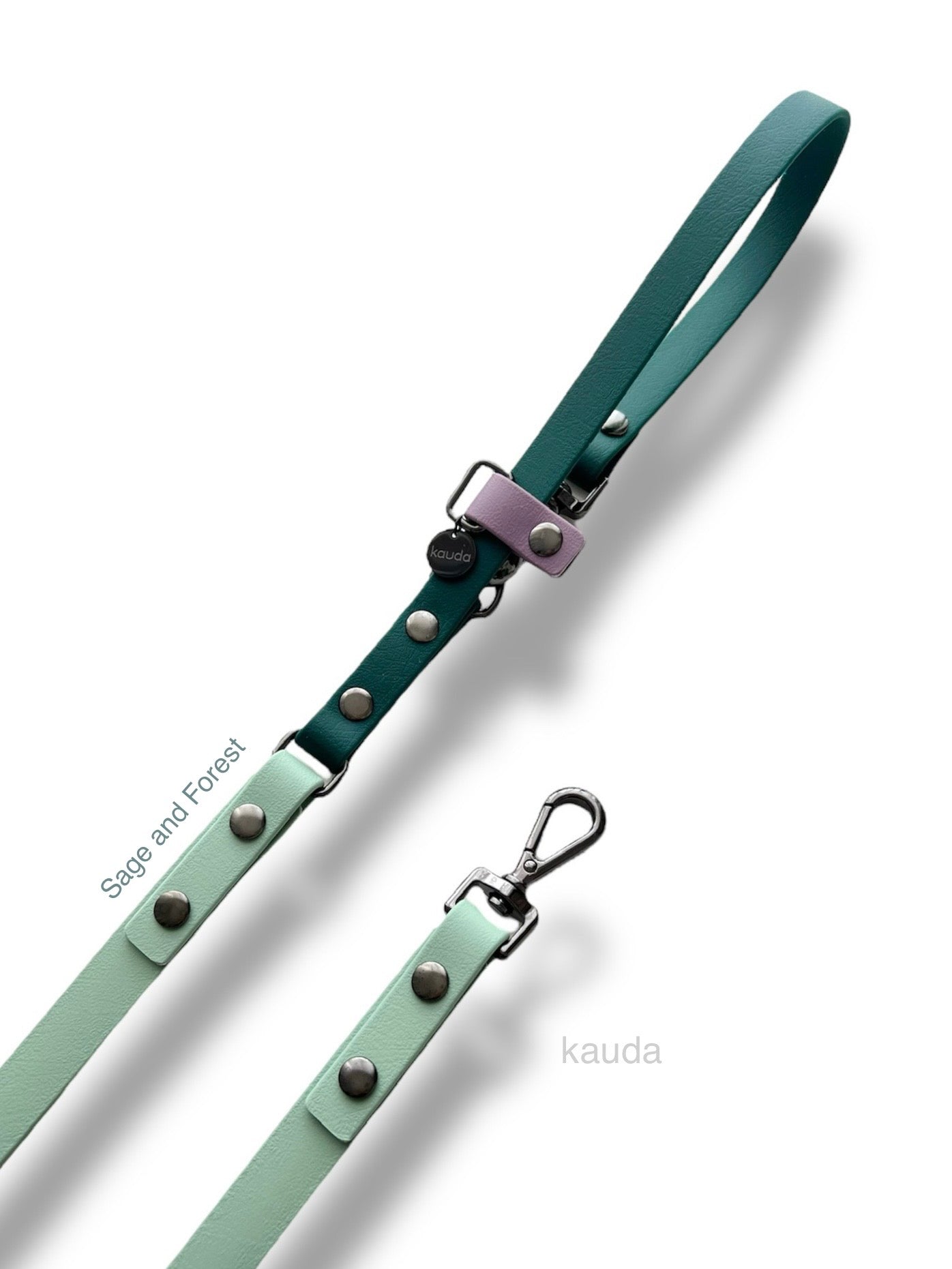 Customise: Your own Classic Leash