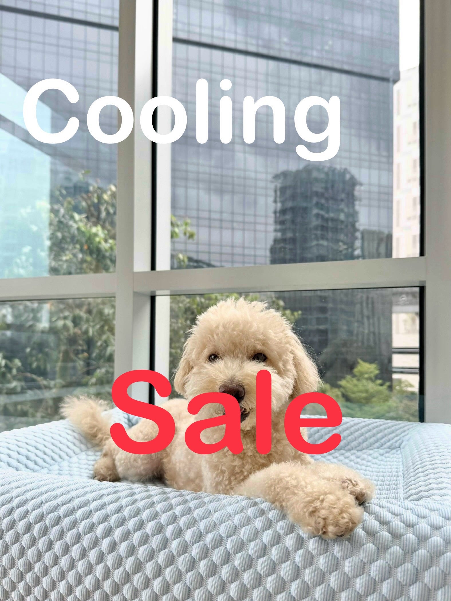 Cooling Cover