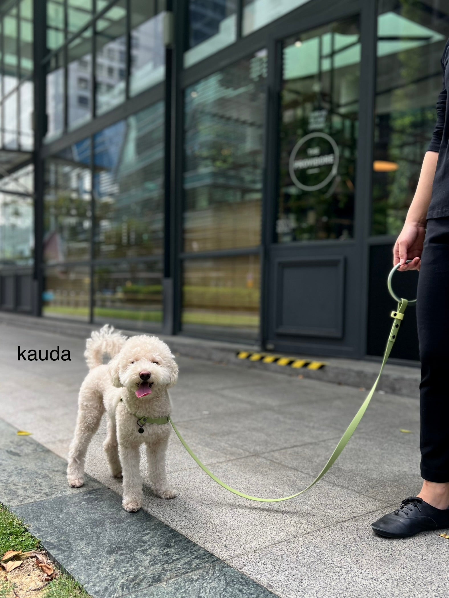 Customise: Your own Ring Leash