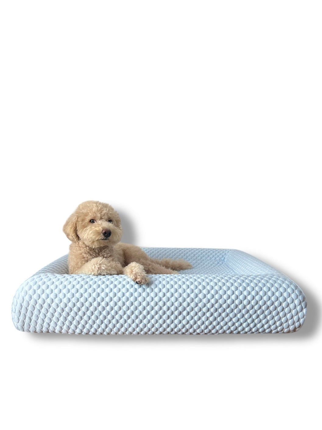 Cooling Bed Cover : Pre-Order
