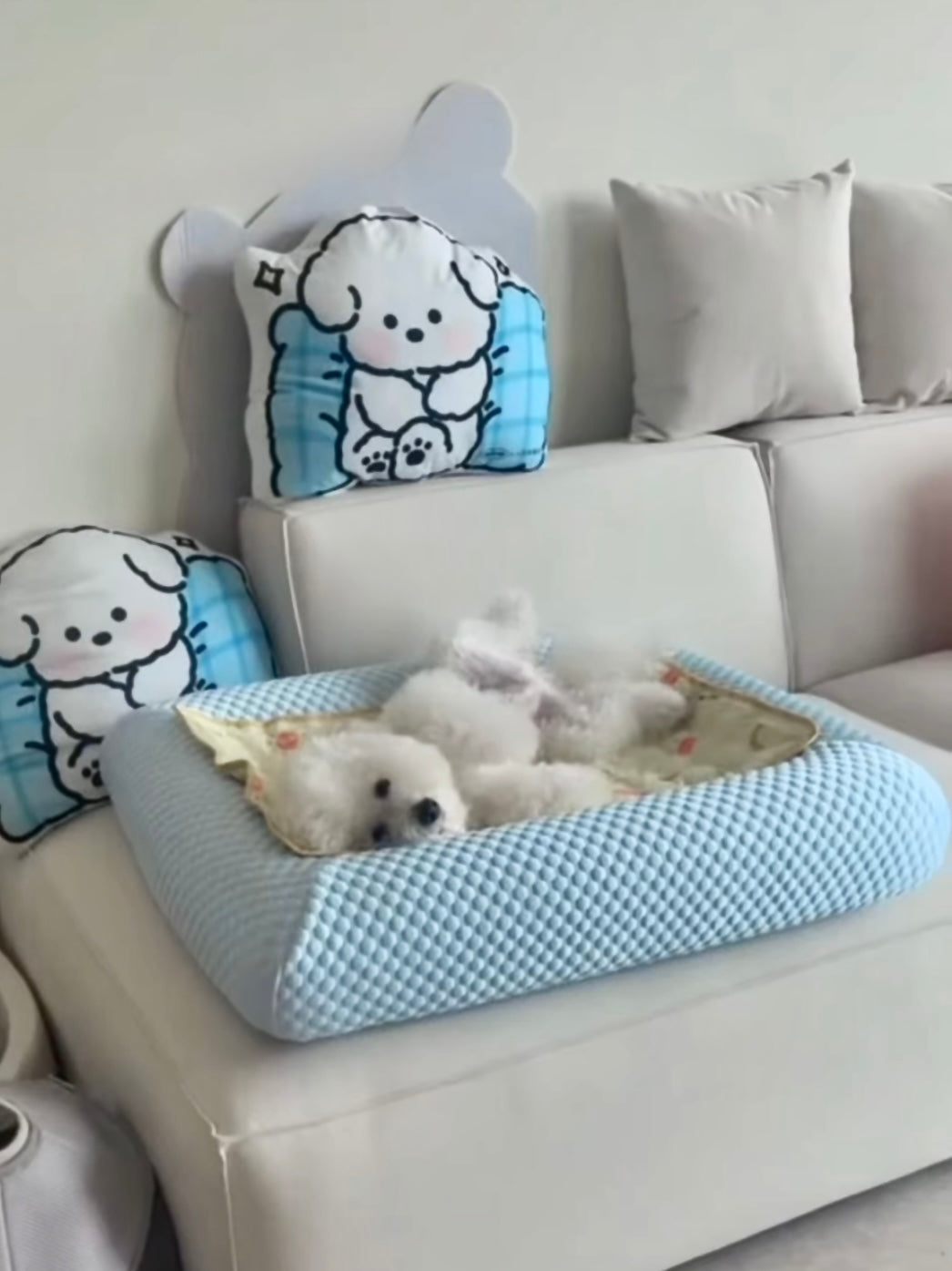 Orthopedic Cooling Bed (Low Entry)