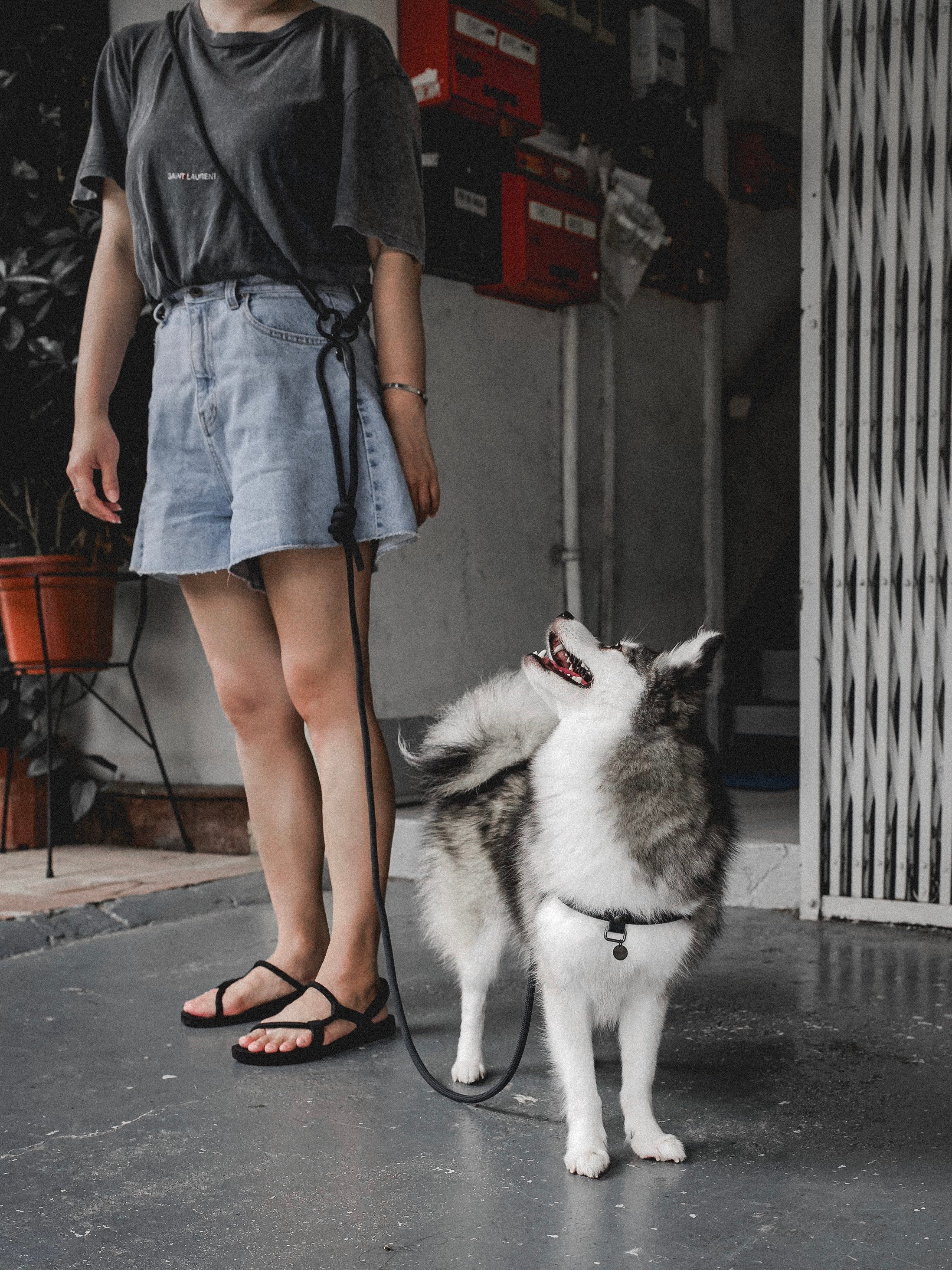 Handsfree Bundle : Knot Leash + Handsfree Connector