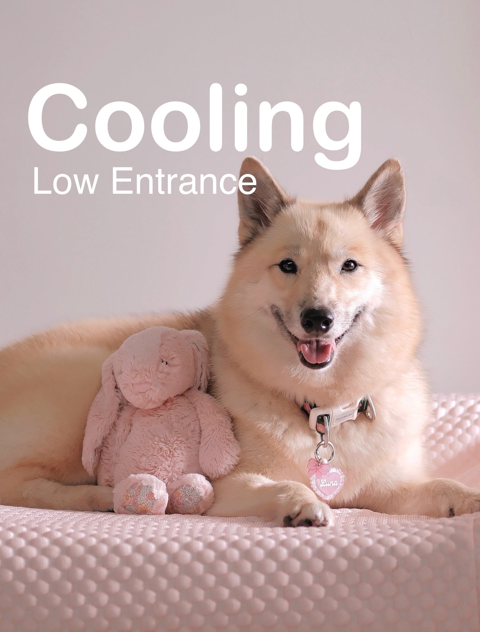 Cooling Cover (Low-Entrance)