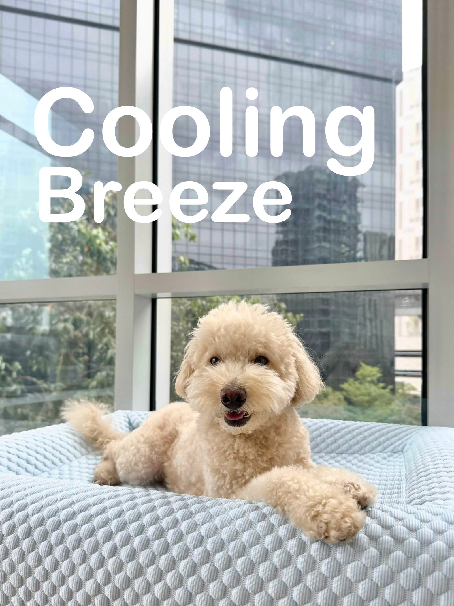 Cooling Breeze - Cover