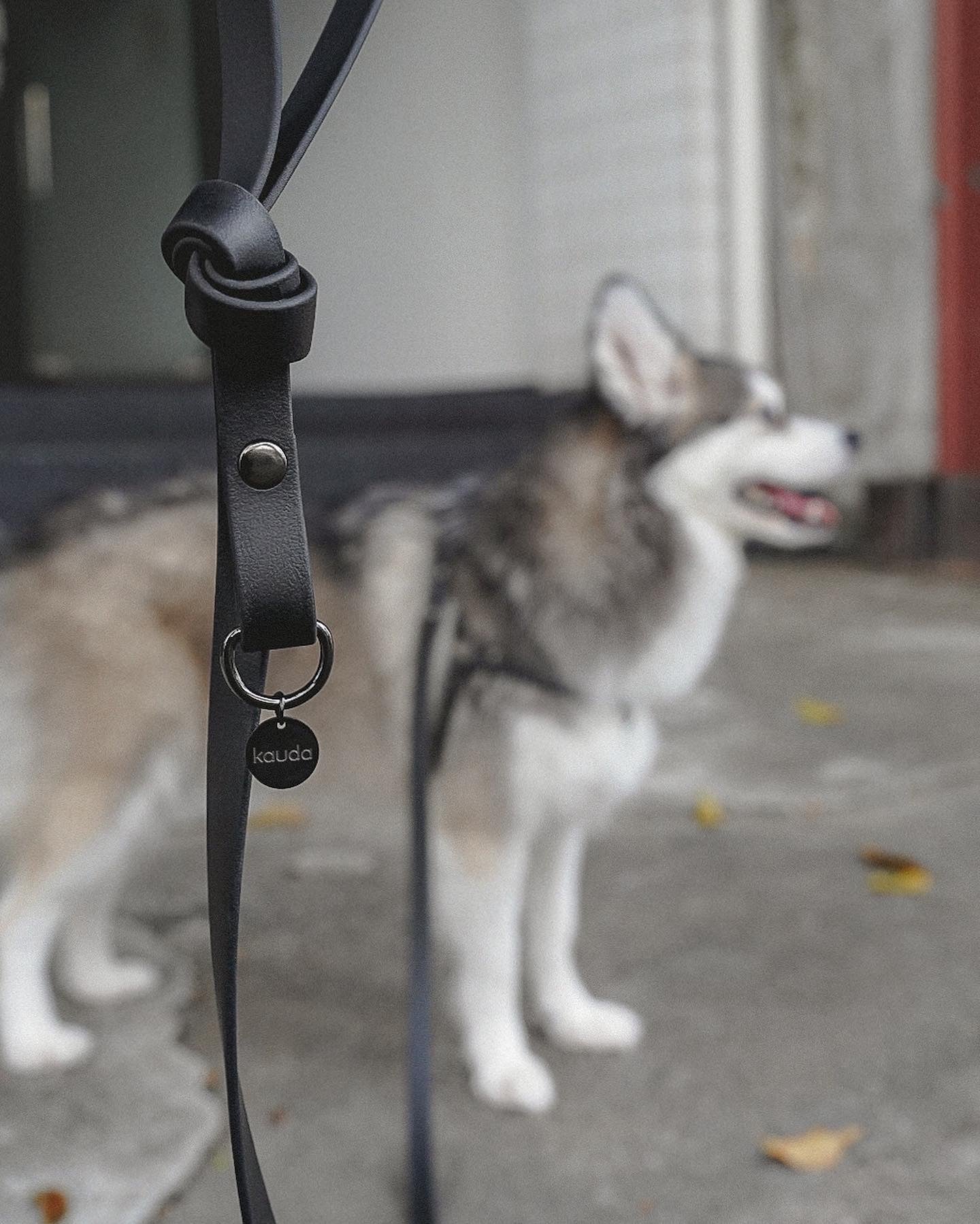 Customise: Your own Knot Leash