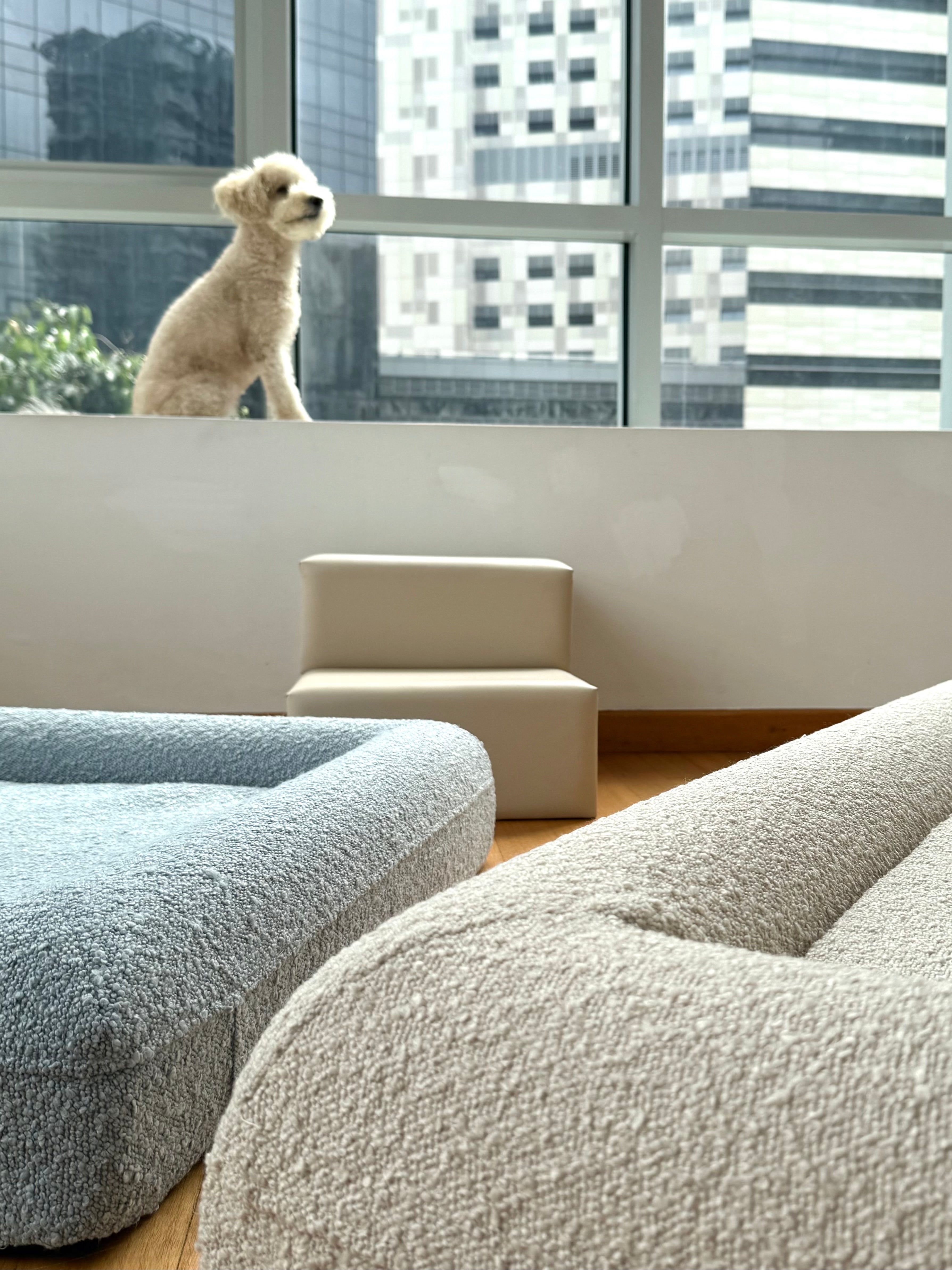 Teddy Cover