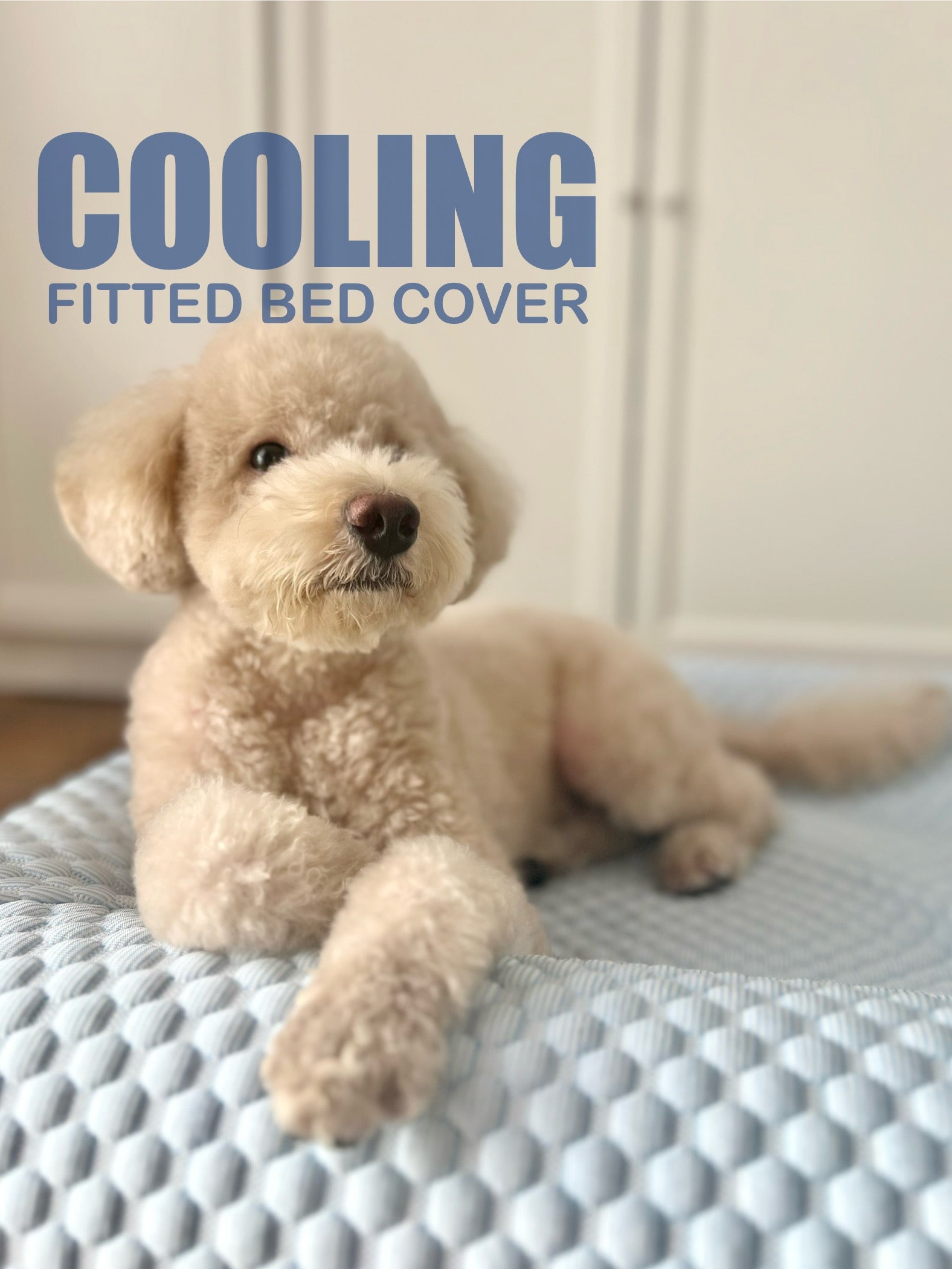 Cooling Bed Cover : Pre-Order